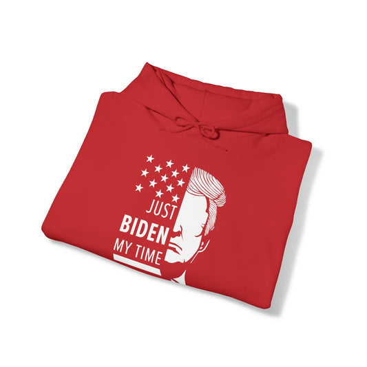 Biden My Time | Trump for President 2024 Hoodie | Political Politics | Presidential Race 2024 | FVBV Apparel - Shamrock Collective